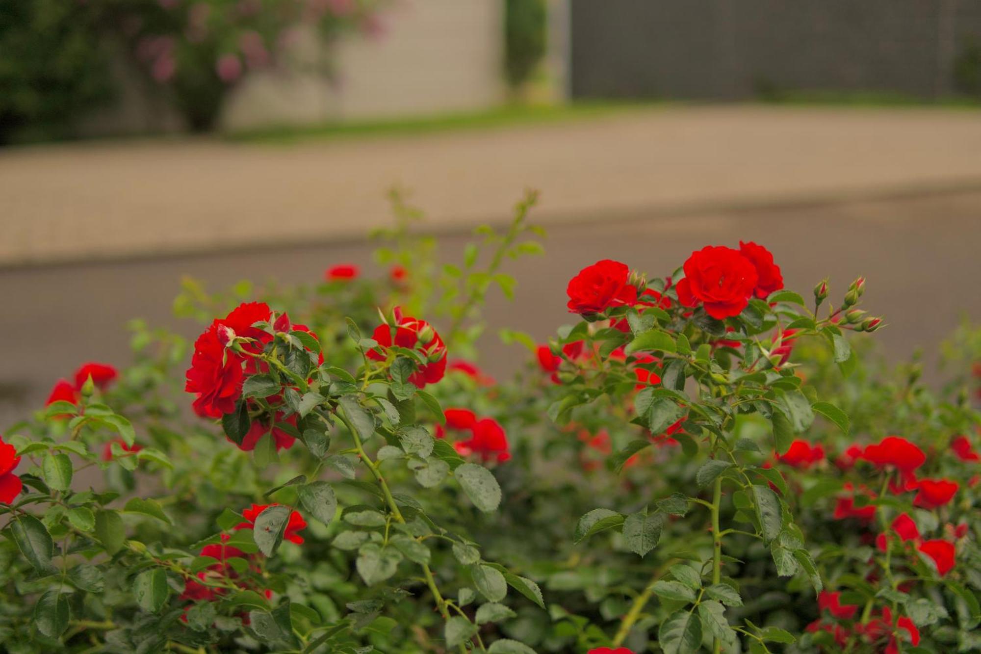 Bed & Breakfast Outlet Hotel Dettingen an der Erms Luaran gambar